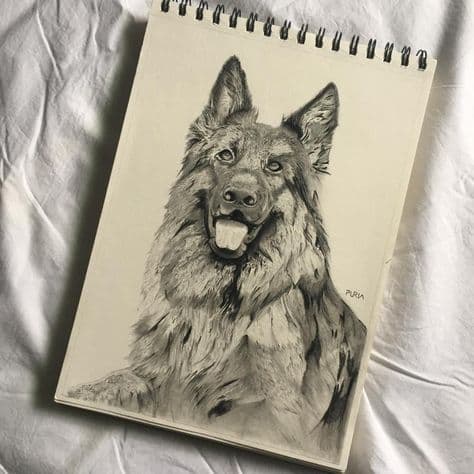 Complete Guide to Grid Drawing for Beginners: Start Creating Accurate Artwork Today