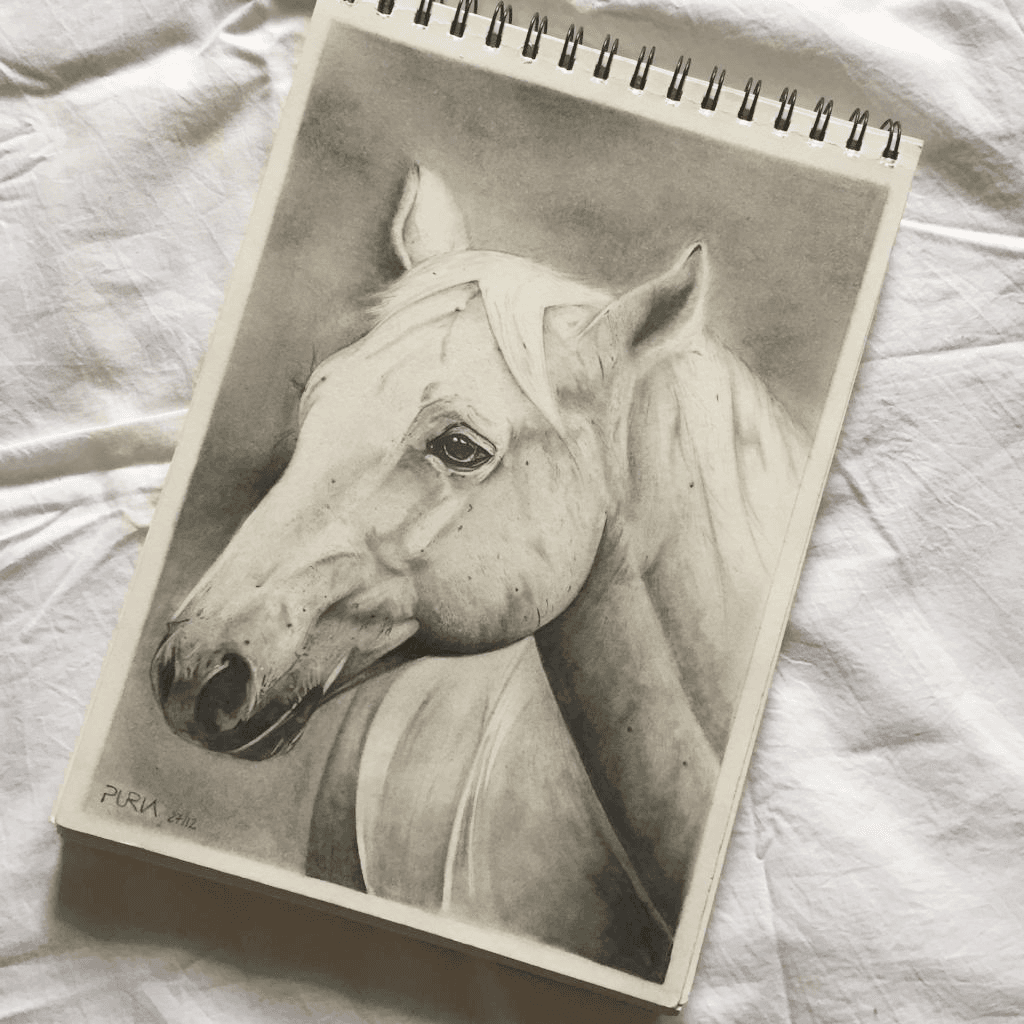 Master the Grid Method: 5 Essential Techniques to Transform Your Drawing Skills